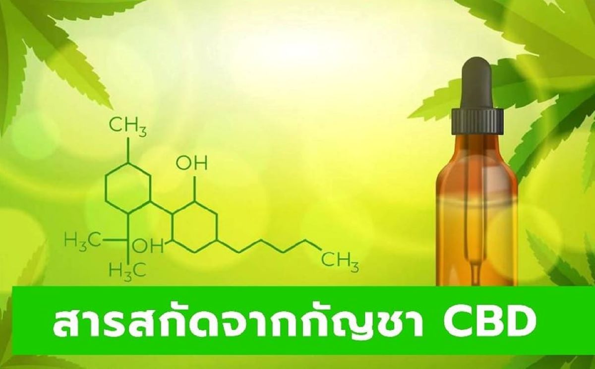วิจัยนำสารสกัดจากกัญชา CBD ลดอาการถอนยาบ้า