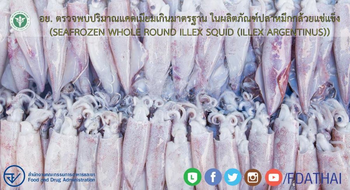 อย เตือนปลาหมึกกล้วย