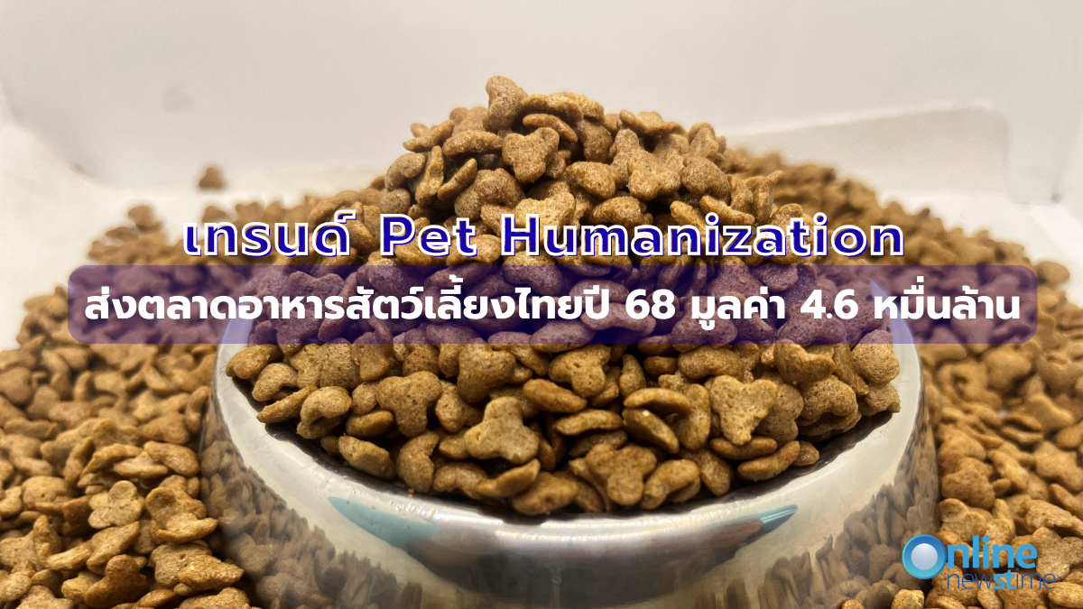 Pet Humanization